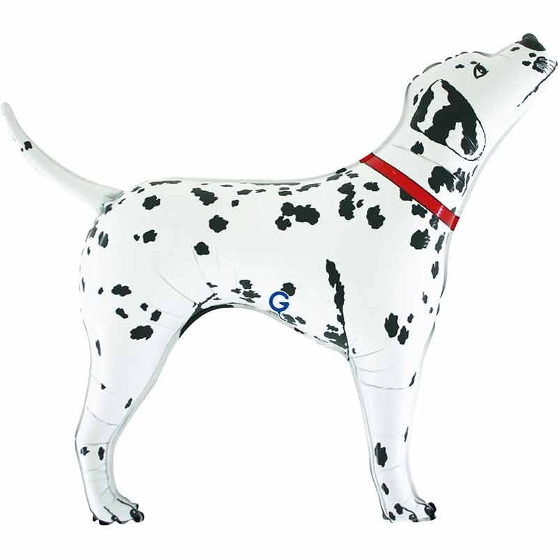 80 cm-es fólia lufi dalmata
